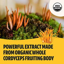 Load image into Gallery viewer, FreshCap Organic Cordyceps Mushroom Extract Powder Supplement - For Natural Energy, Exercise Performance &amp; Endurance - Vegan, Pure Fruiting Body Extract - Add to Coffee/Tea/Smoothies - 2.1 Ounce (60g)
